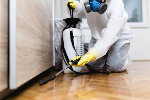 Best Bed Bug Extermination  in Chenoa, IL