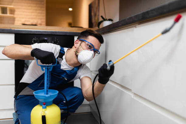 Flea Control Services in Chenoa, IL