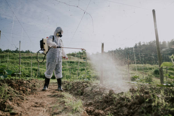 Best Affordable Pest Control Services  in Chenoa, IL