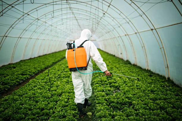 Best Best Pest Control Companies  in Chenoa, IL