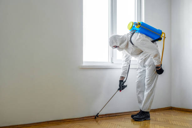 Best Wasp Removal Services  in Chenoa, IL