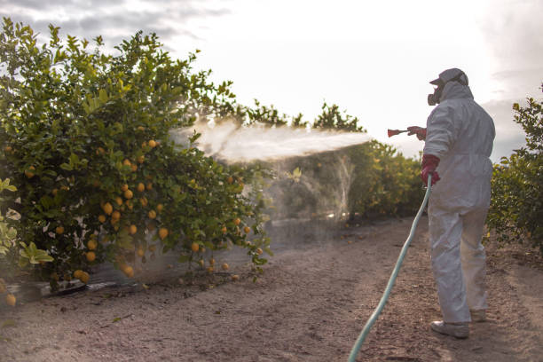 Best Exterminator Services  in Chenoa, IL