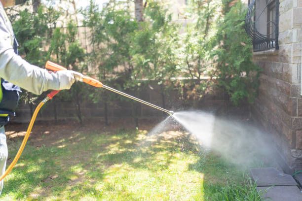 Best Best Pest Control Companies  in Chenoa, IL