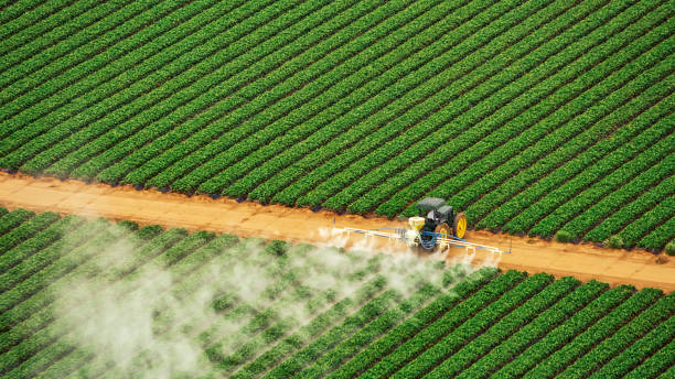 Best Pest Inspection Near Me  in Chenoa, IL