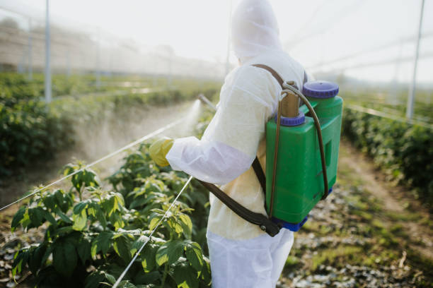 Best Flea Control Services  in Chenoa, IL
